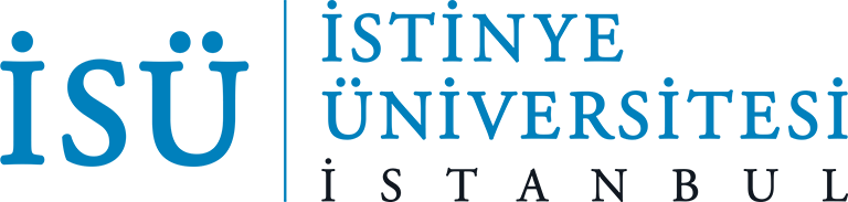 stinye University